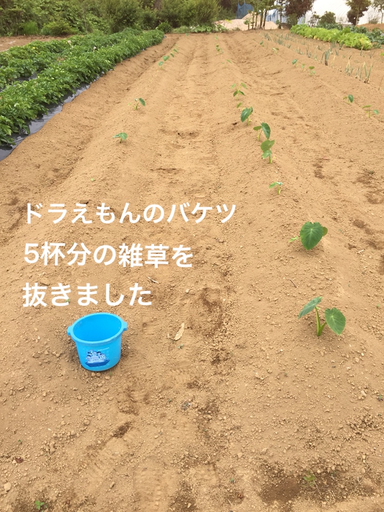 f:id:Yamanao:20180530121942j:plain f:id:Yamanao:20180530121942j:plain