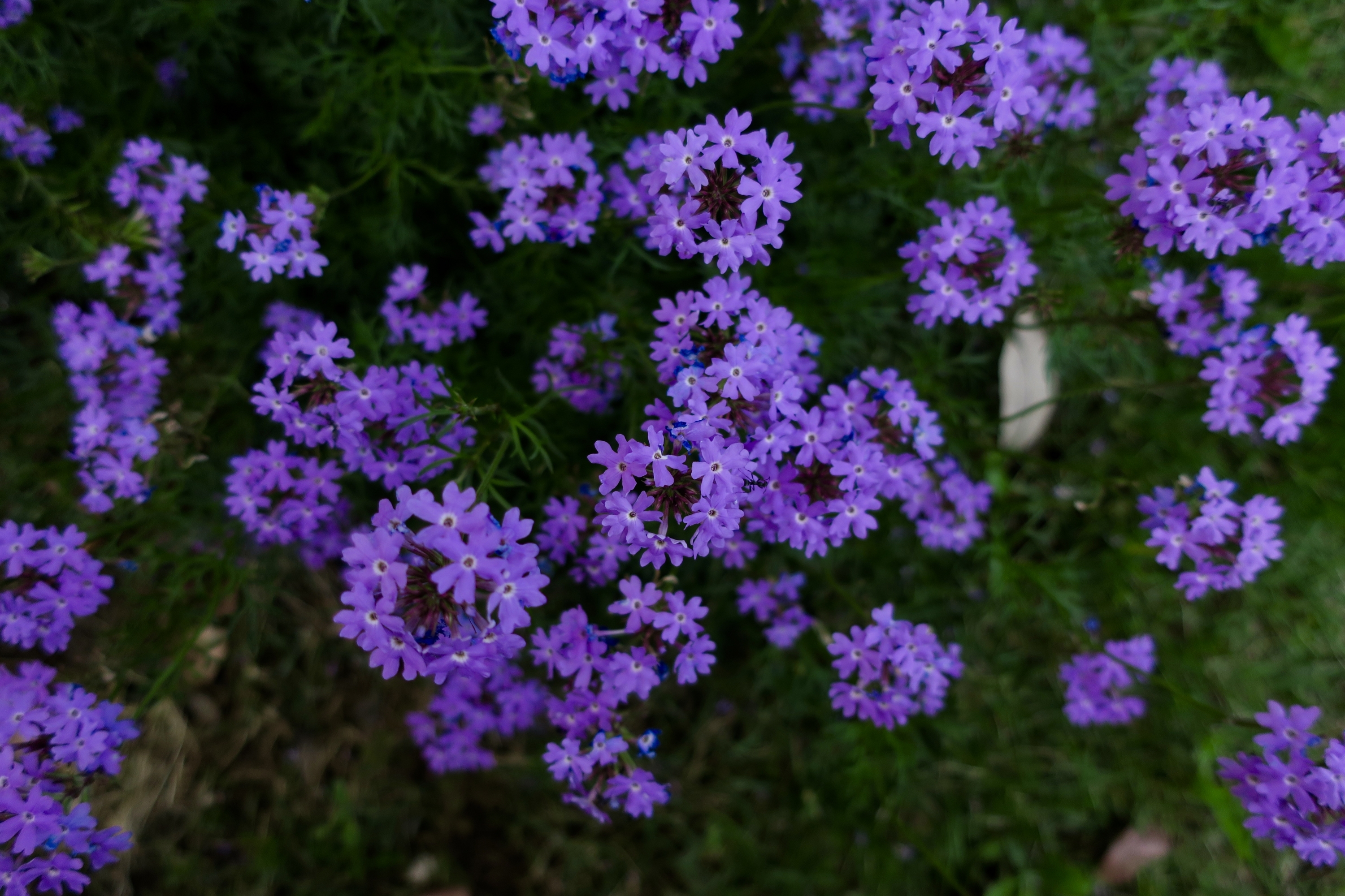 f:id:Yamanao:20180617132154j:plain f:id:Yamanao:20180617132154j:plain