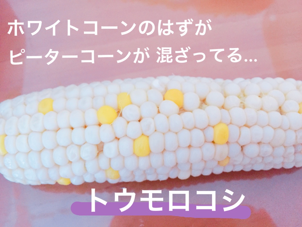 f:id:Yamanao:20180721195332j:plain f:id:Yamanao:20180721195332j:plain