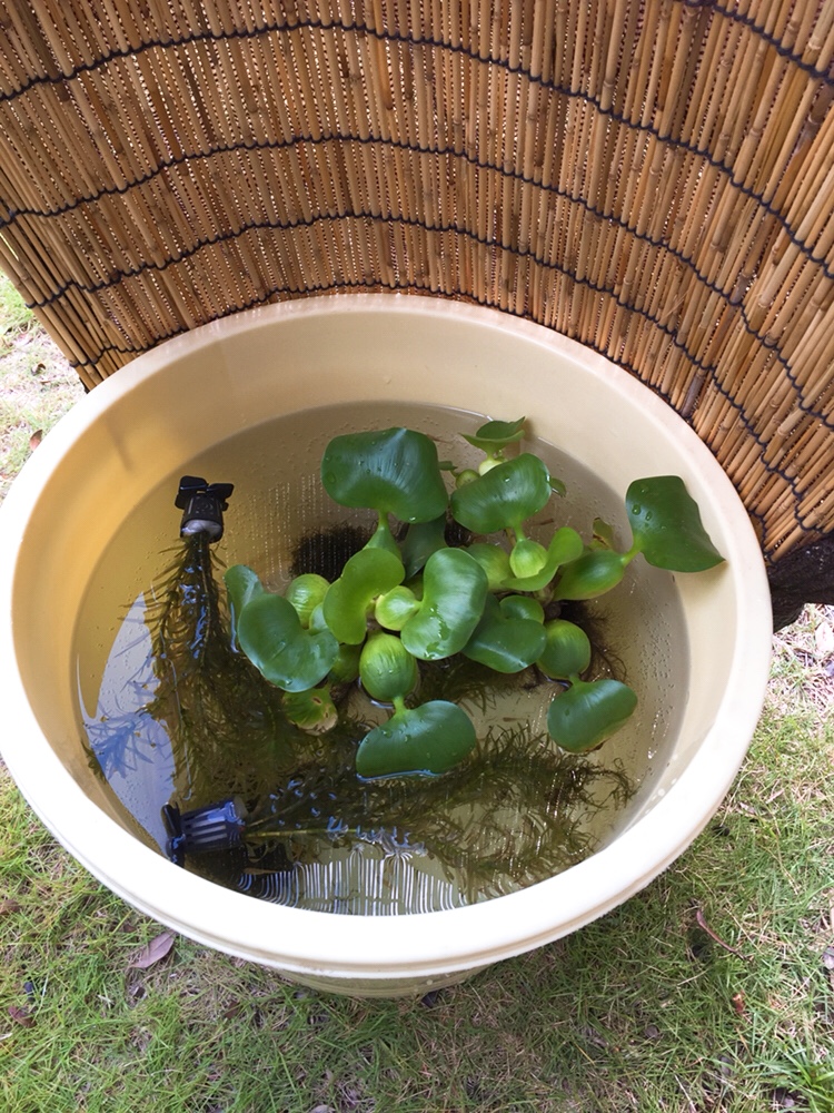 f:id:Yamanao:20180823151817j:plain f:id:Yamanao:20180823151817j:plain