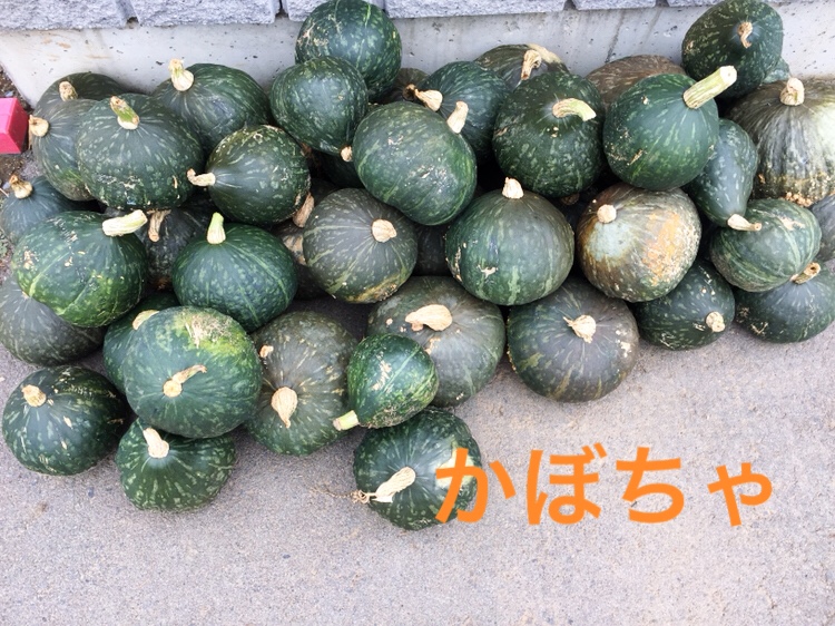 f:id:Yamanao:20180917085650j:plain f:id:Yamanao:20180917085650j:plain