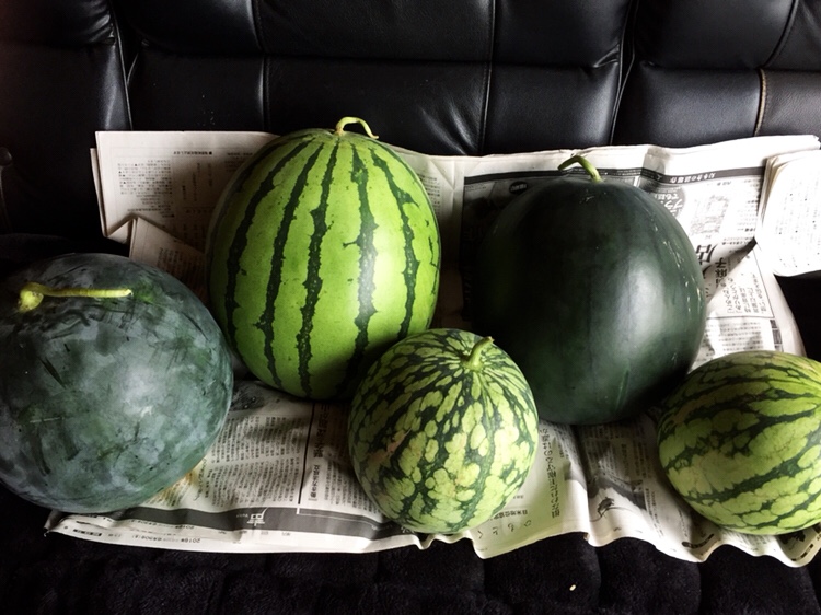 f:id:Yamanao:20180922005729j:plain f:id:Yamanao:20180922005729j:plain