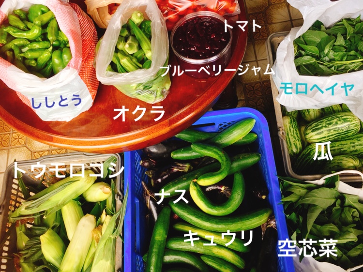 f:id:Yamanao:20180922163833j:plain f:id:Yamanao:20180922163833j:plain