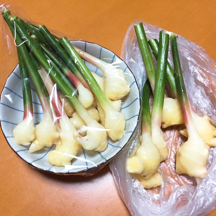 f:id:Yamanao:20181019000849j:plain f:id:Yamanao:20181019000849j:plain