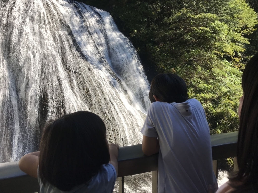 f:id:Yamanao:20181020205257j:plain f:id:Yamanao:20181020205257j:plain
