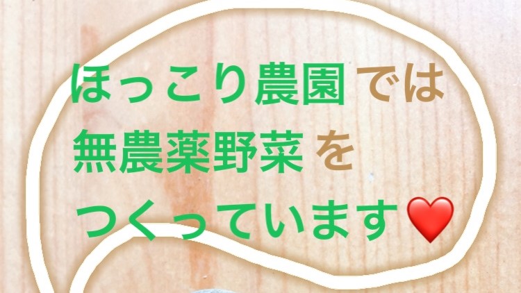 f:id:Yamanao:20181120213052j:plain f:id:Yamanao:20181120213052j:plain