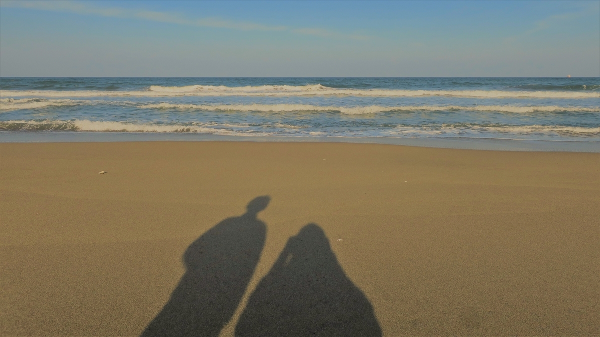 f:id:Yamanao:20190316125231j:plain f:id:Yamanao:20190316125231j:plain