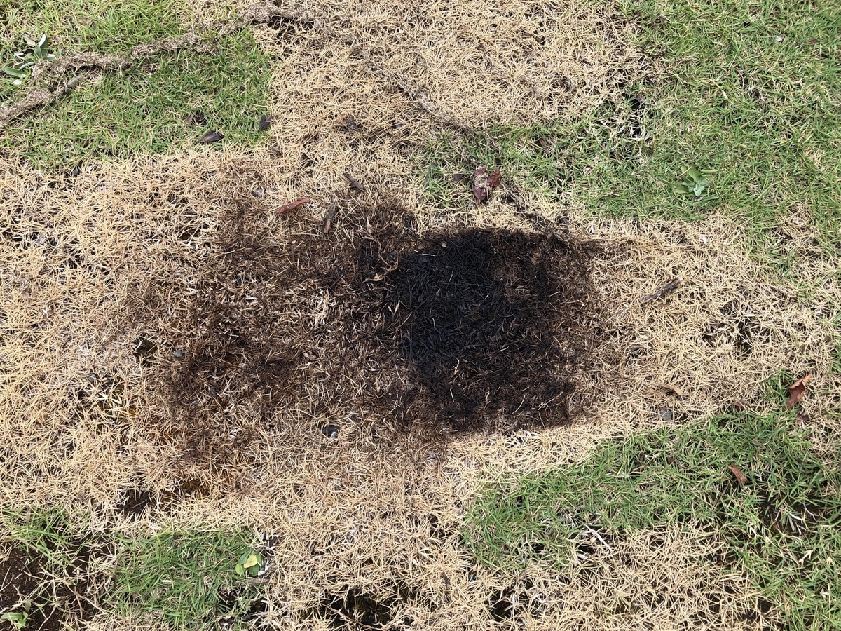 f:id:Yamanao:20190816144433j:plain f:id:Yamanao:20190816144433j:plain