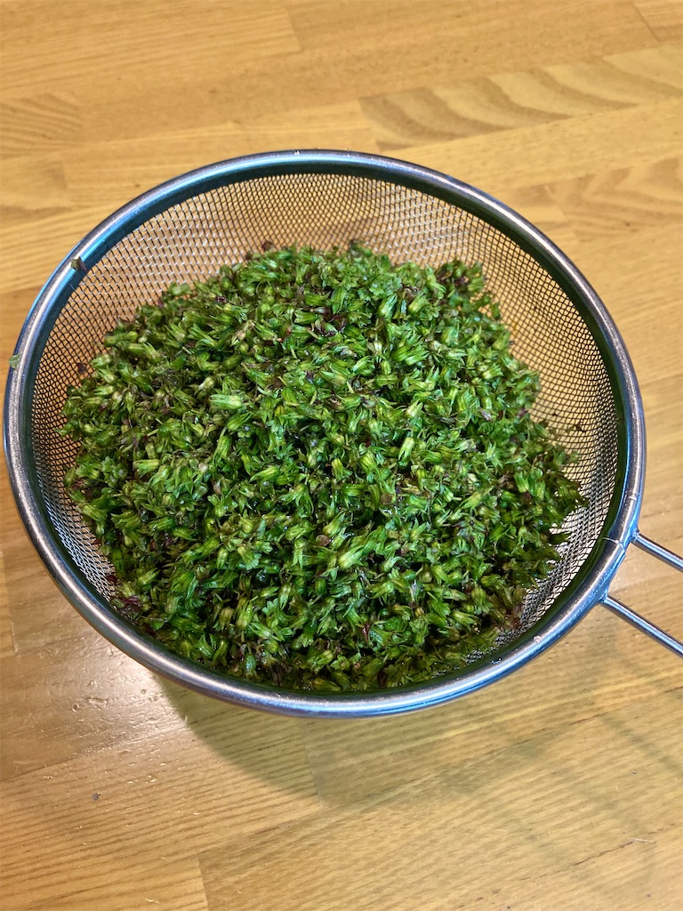 f:id:YamanoKinoko:20221005163836j:image f:id:YamanoKinoko:20221005163836j:image