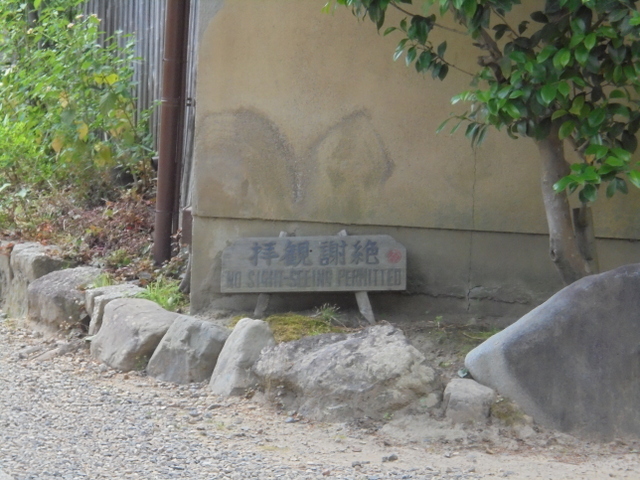 f:id:Yamaoka:20190603133141j:image f:id:Yamaoka:20190603133141j:image