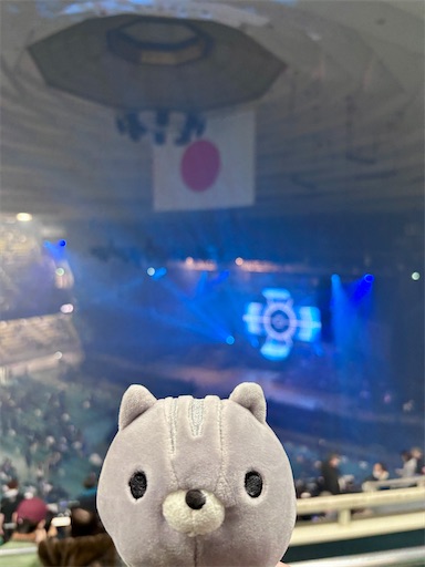 f:id:Yamapy:20260302203630j:image