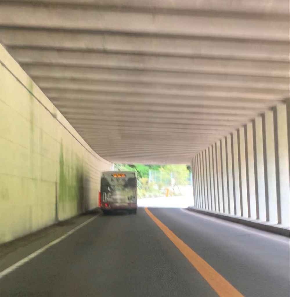 f:id:Yamaryou:20220727223419j:image f:id:Yamaryou:20220727223419j:image