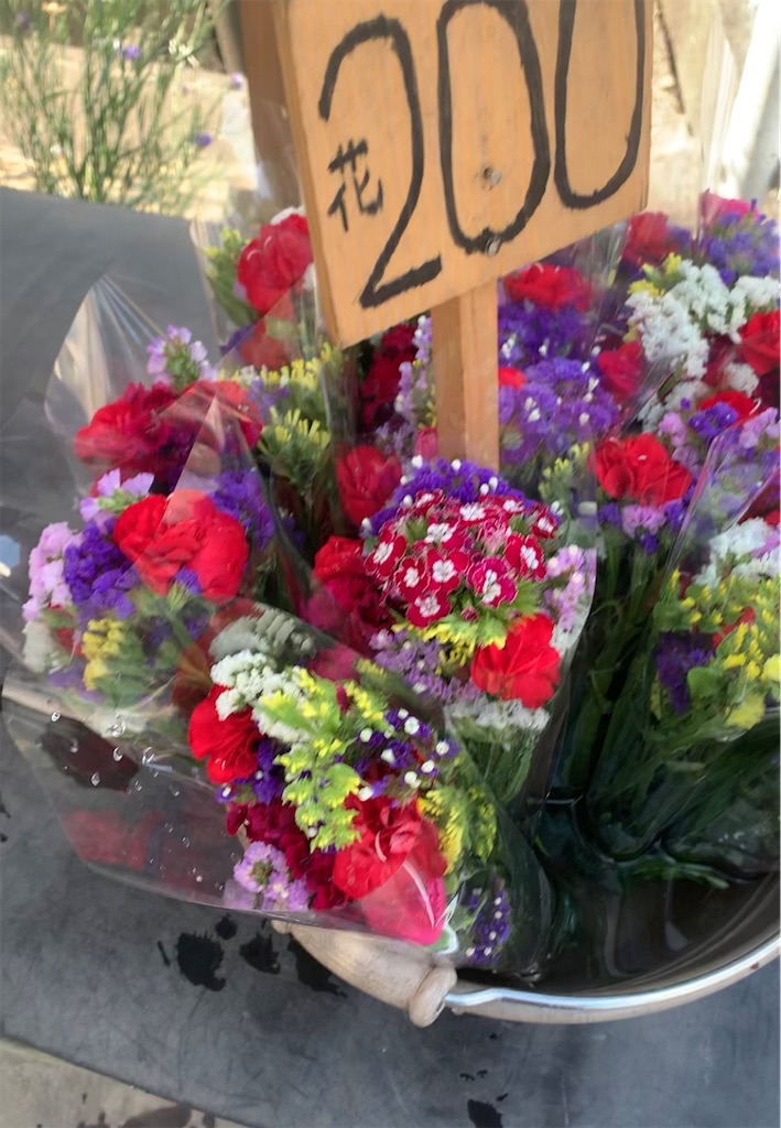f:id:Yamaryou:20220727223545j:image f:id:Yamaryou:20220727223545j:image