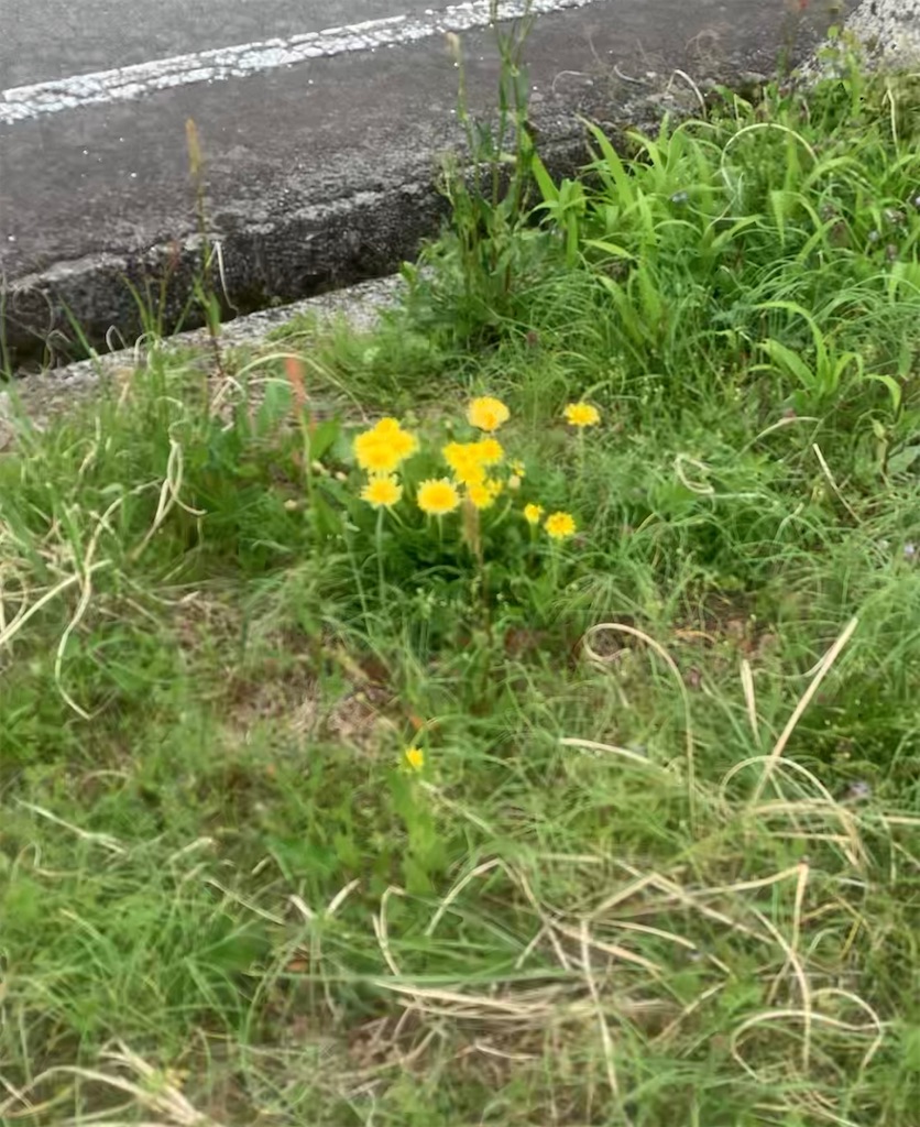 f:id:Yamaryou:20220727224142j:image f:id:Yamaryou:20220727224142j:image