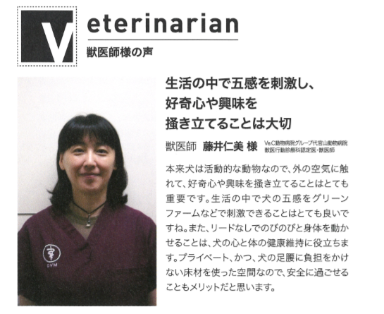 f:id:Yamatojktachikawa:20191024125123p:plain f:id:Yamatojktachikawa:20191024125123p:plain