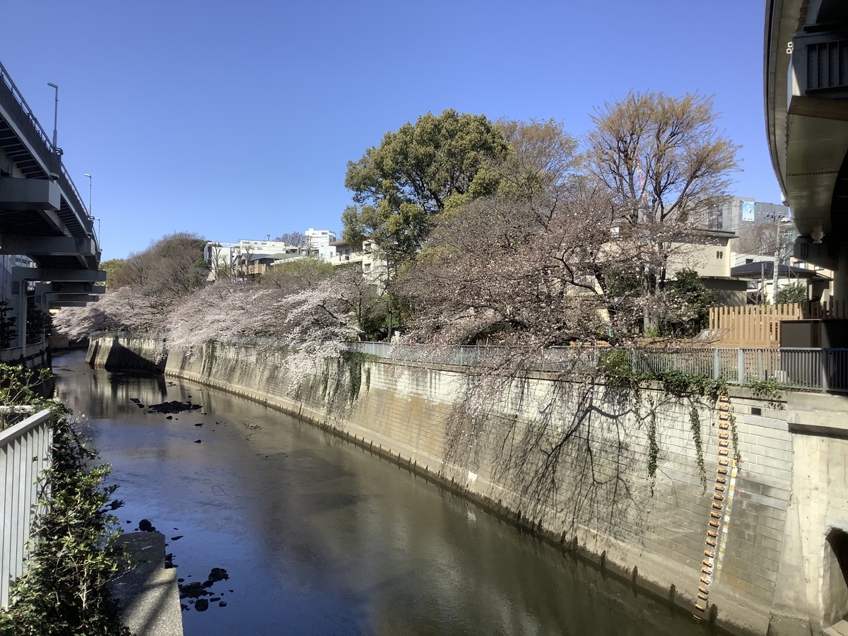 f:id:Yaminabe:20200403100915j:plain