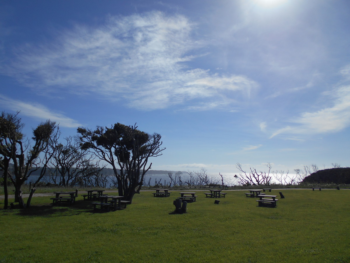 f:id:Yamio:20200812002300j:plain