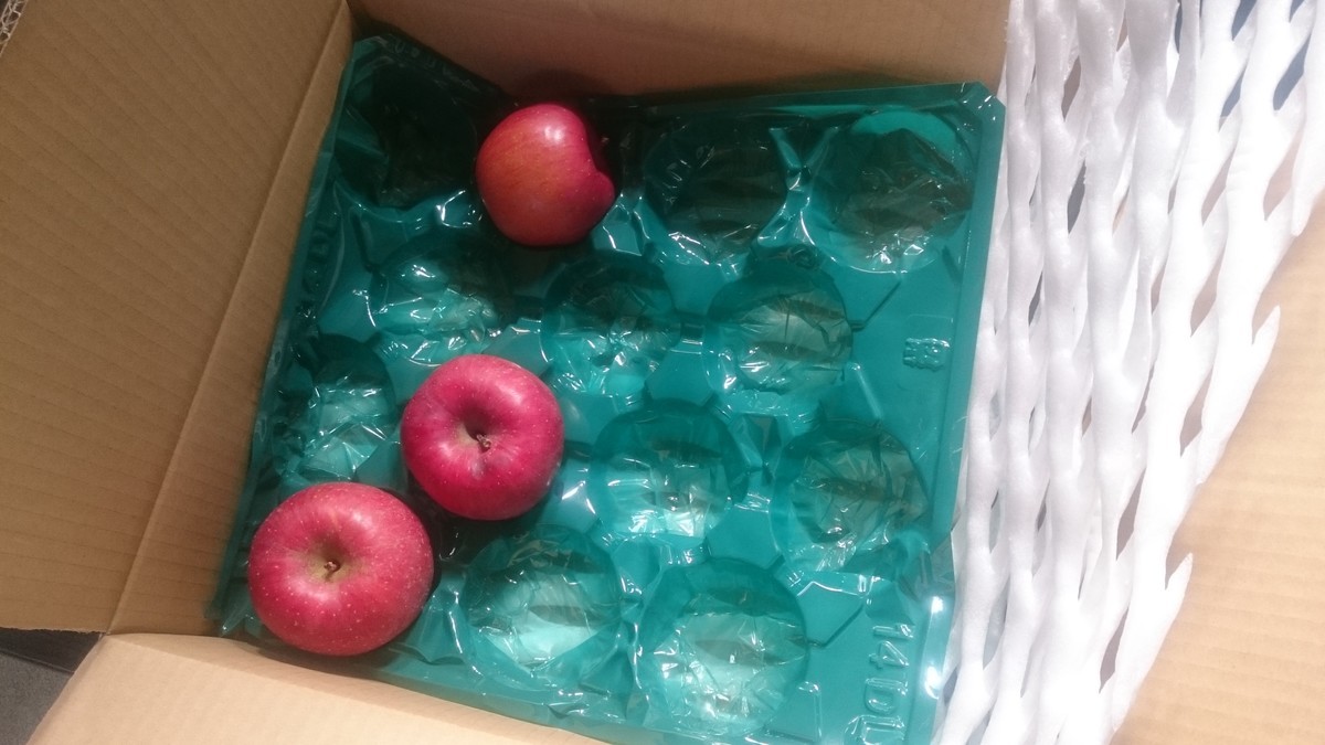 f:id:Yamio:20201231162145j:plain