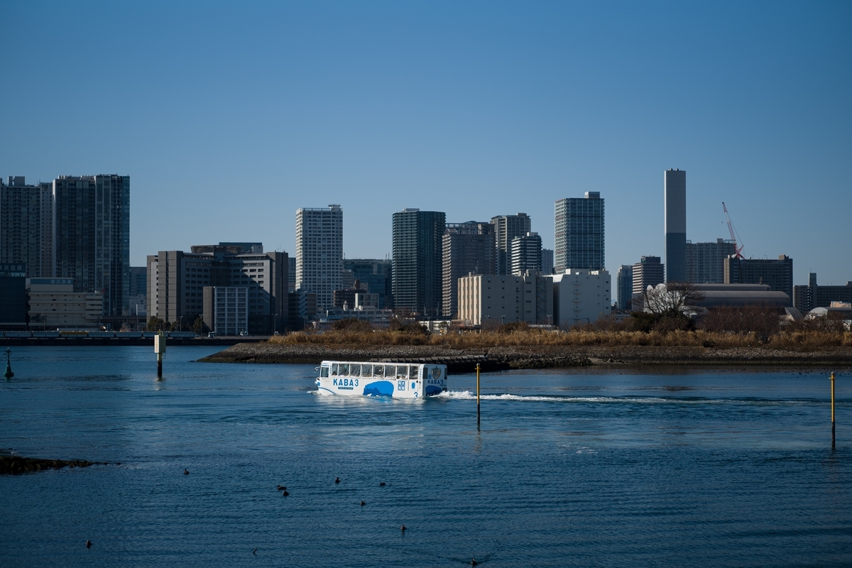 f:id:Yas_photo:20220125210235j:plain