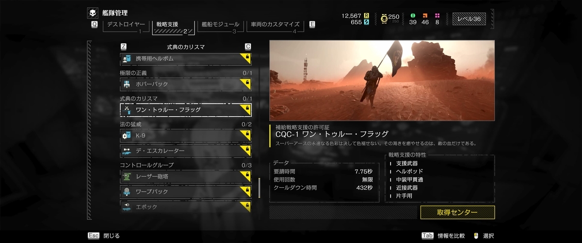 戦略支援