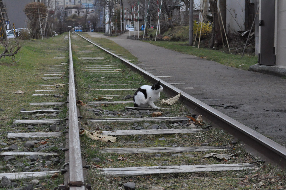 f:id:Yashio:20101206214238j:image:w500 f:id:Yashio:20101206214238j:image:w500