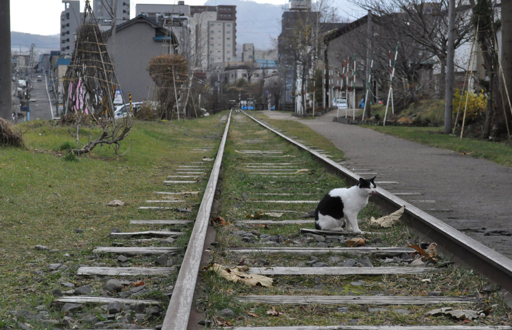 f:id:Yashio:20101206214239j:image:w500 f:id:Yashio:20101206214239j:image:w500