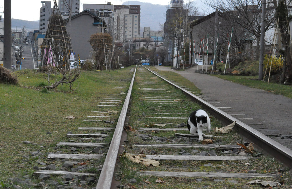 f:id:Yashio:20101206214240j:image:w500 f:id:Yashio:20101206214240j:image:w500
