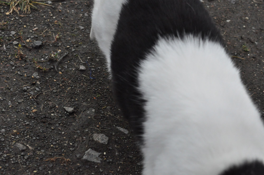 f:id:Yashio:20101206214243j:image:w500 f:id:Yashio:20101206214243j:image:w500
