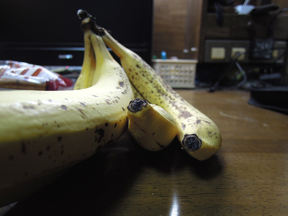 f:id:Yashio:20110501233835j:image:w500