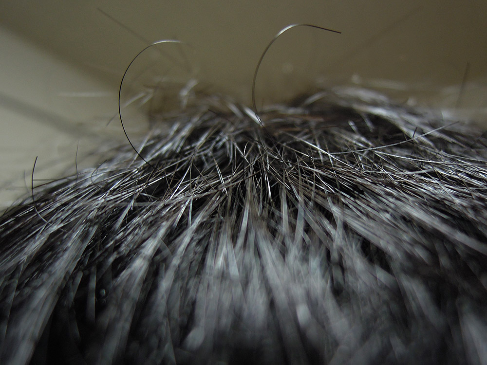 f:id:Yashio:20110501233839j:image:w500