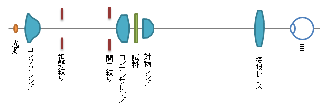 顕微鏡という光学システム - やしお