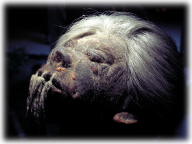 f:id:Yasima:20050323034232j:image