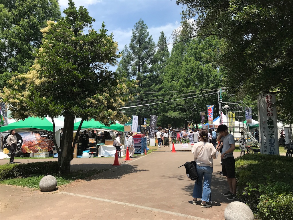 f:id:Yassun:20180603220103j:image