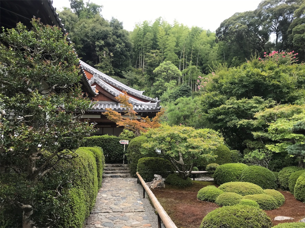 f:id:Yassun:20180820223436j:image