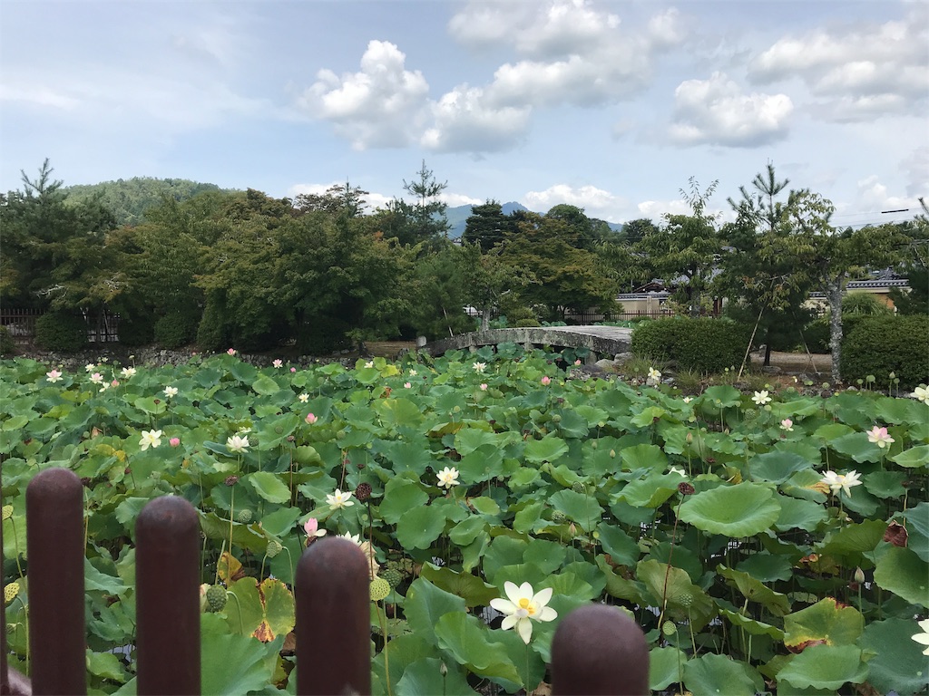 f:id:Yassun:20180820224508j:image