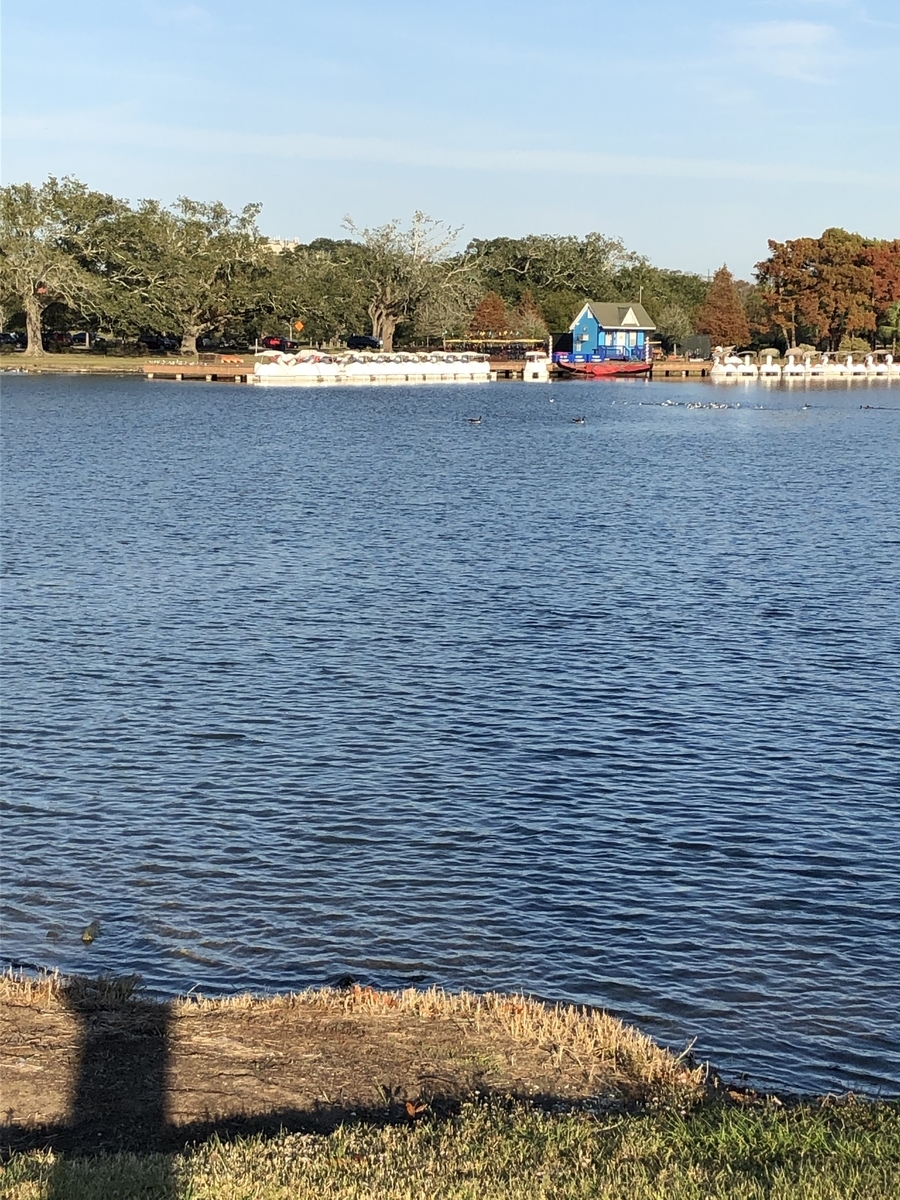 ニューオーリーンズ行ってきました １ シティ パーク ポンチャートレイン湖大橋 オークアレイ プランテーション シカゴ近郊生活と米国株