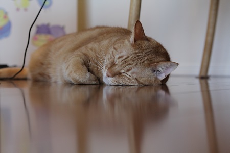 20150219.jpg
