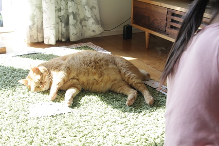 201502242.jpg
