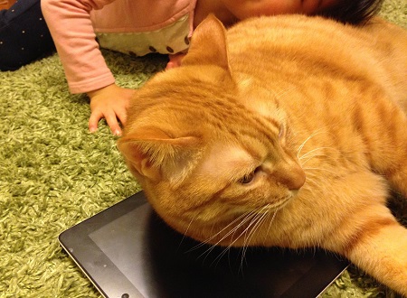 201502252.jpg