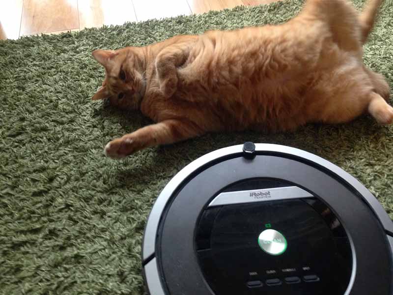 猫飼い家に赤ちゃんが生まれる時に 買って良かったおすすめベビー用品5選 基本は抜け毛対策です いいかげん暮らし 猫飼い家に赤ちゃんが生まれる時に 買って良かったおすすめベビー用品5選 基本は抜け毛対策です いいかげん暮らし