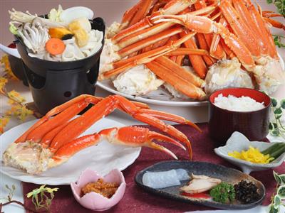 f:id:YenTame_Station:20170120173911j:plain f:id:YenTame_Station:20170120173911j:plain