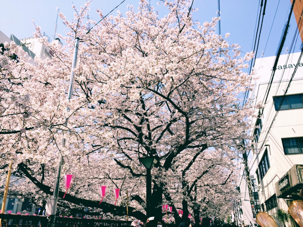 f:id:YenTame_Station:20170406133118j:plain f:id:YenTame_Station:20170406133118j:plain