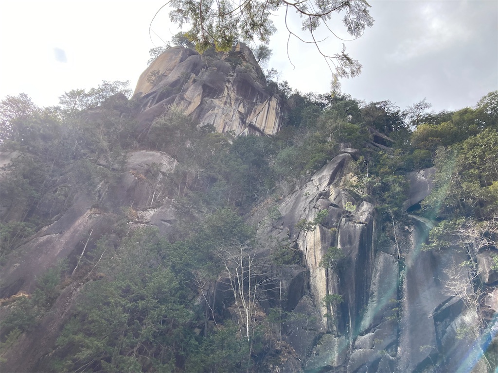 f:id:Yoda0518:20210312131852j:image f:id:Yoda0518:20210312131852j:image