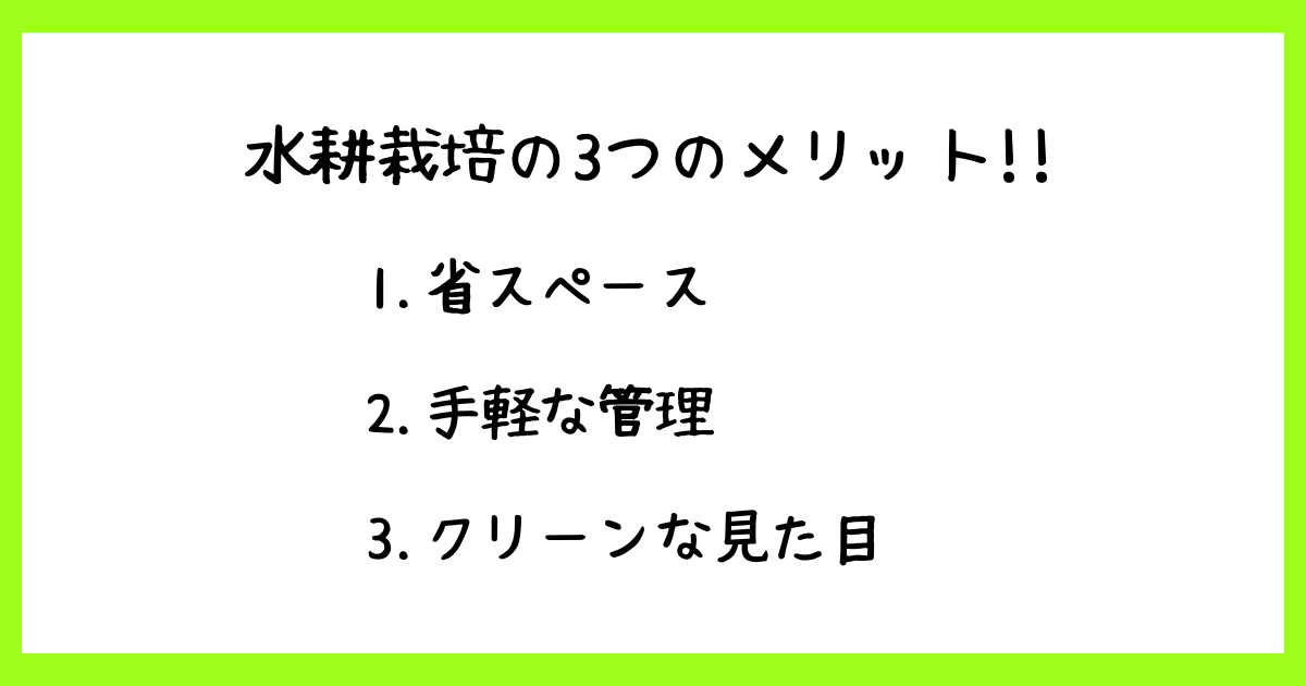 水耕栽培の3つのメリット:省スペースで管理が手軽、そしてクリーンな見た目