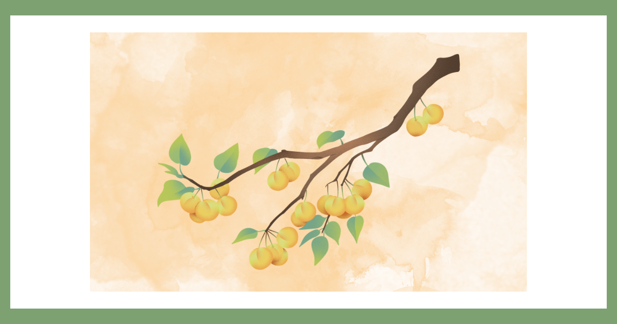 木の上で黄色く完熟した梅の実が豊かに実る枝のイラスト。時間が経つことで思考が深まり、アイデアが熟成される様子を象徴する。