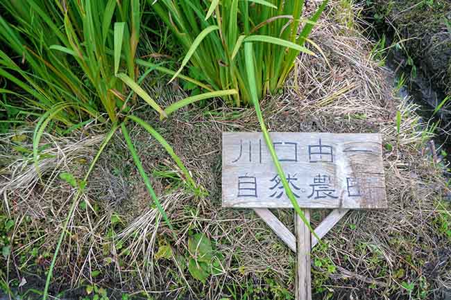 f:id:Yokumiru:20190716122926j:plain
