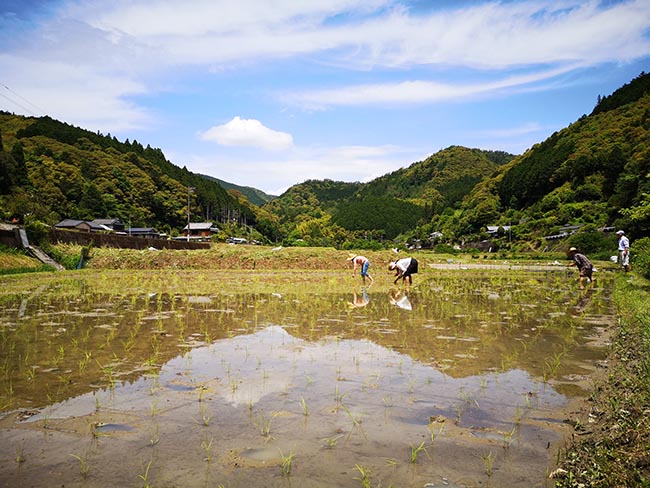 f:id:Yokumiru:20200528220226j:plain