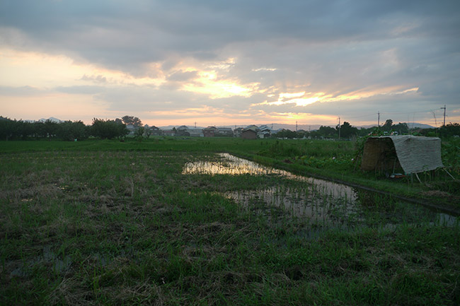 f:id:Yokumiru:20200714183455j:plain