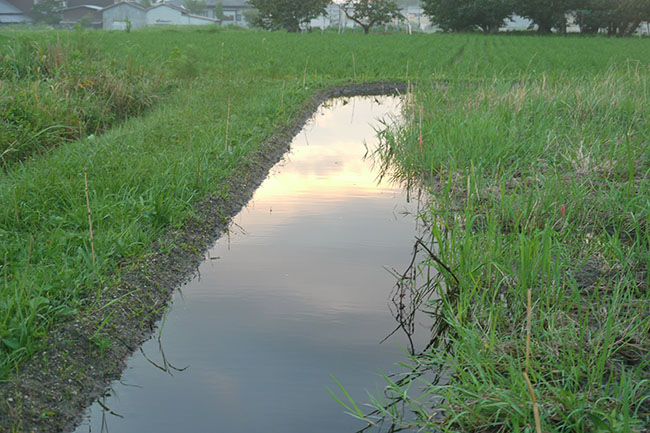 f:id:Yokumiru:20200714183519j:plain