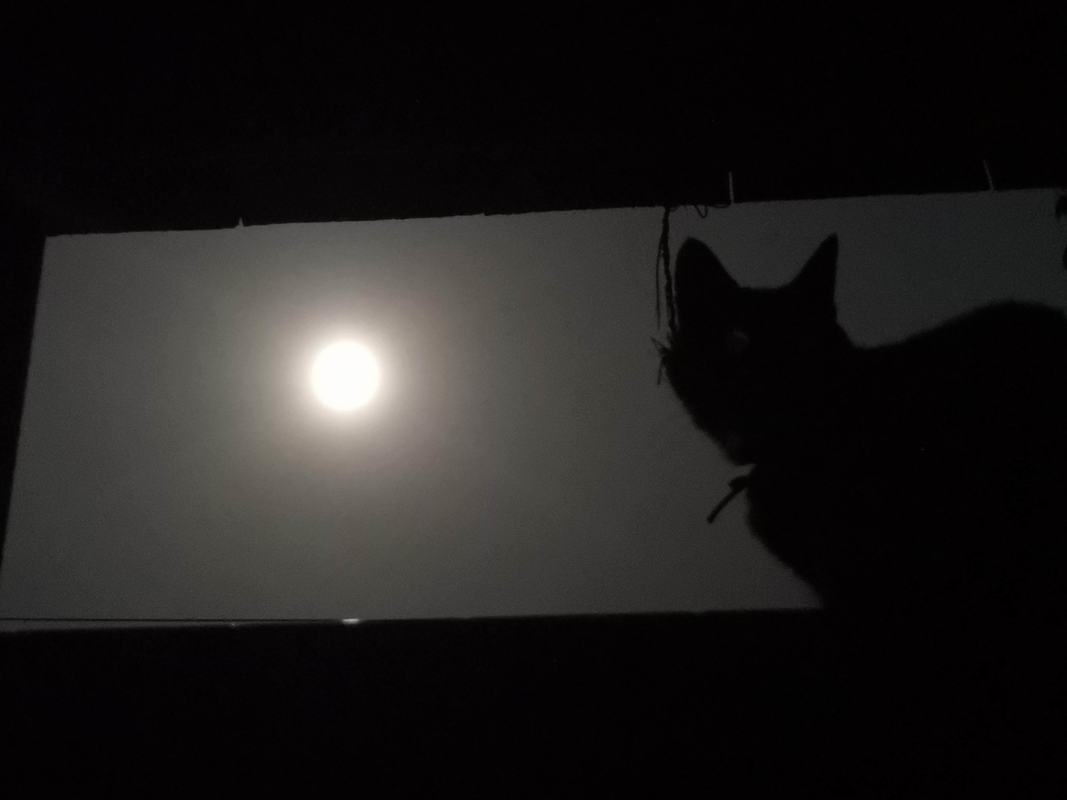 f:id:Yokumiru:20200929234824j:plain